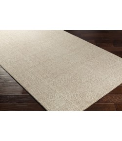 Surya Aiden AEN1000 Khaki Cream Area Rug 2 ft. X 3 ft. Rectangle