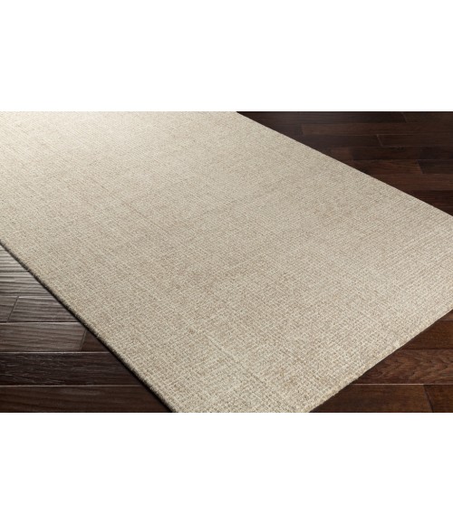 Surya Aiden AEN-1000-2x3 rug