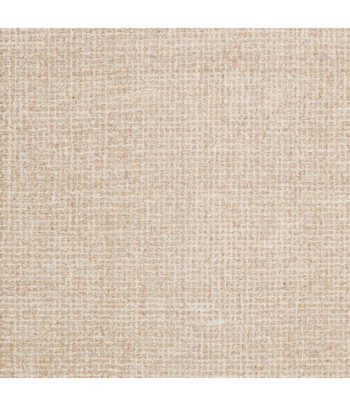 Surya Aiden AEN-1000-2x3 rug