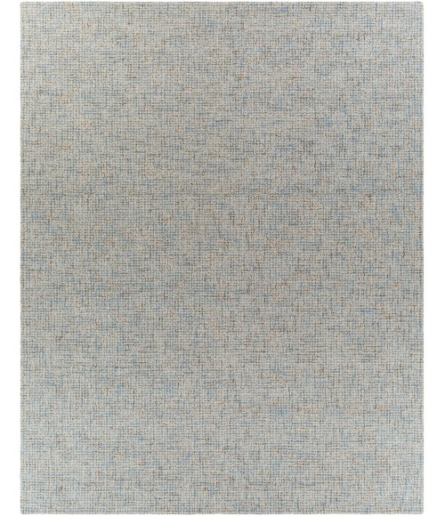 Surya Aiden AEN-1001-8x10 rug