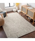 Surya Avera AER-1002-2x3 rug
