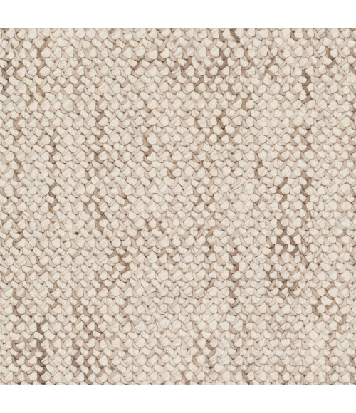 Surya Avera AER-1002-2x3 rug