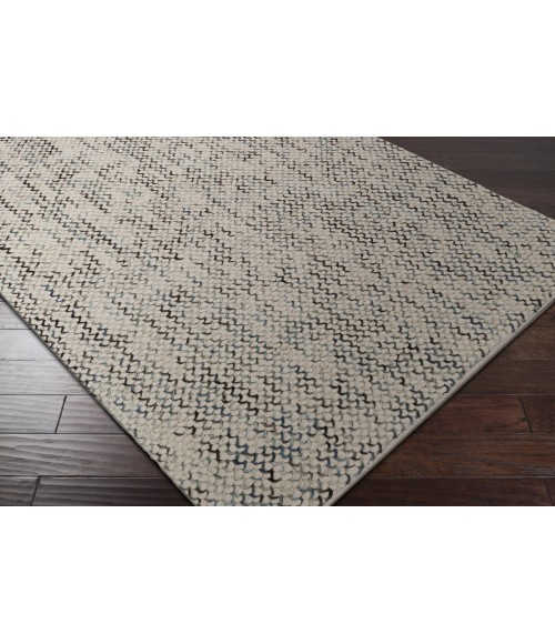 AVERA RUG Surya Avera AER-1003-8x10 rug