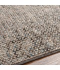Surya Avera AER-1003-2x3 rug