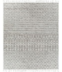 Surya Agadir AGD1001 Beige Charcoal Area Rug 8 ft. X 10 ft. Rectangle