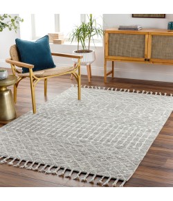 Surya Agadir AGD1001 Beige Charcoal Area Rug 2 ft. X 3 ft. Rectangle