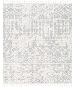 Livabliss Alhambra AHB2307 Light Gray Cream Area Rug 5 ft. 3 in. X 7 ft. Rectangle