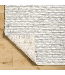 Livabliss Ahlat AHT2303 Light Silver Light Grey Area Rug 5 ft. X 7 ft. 6 in. Rectangle