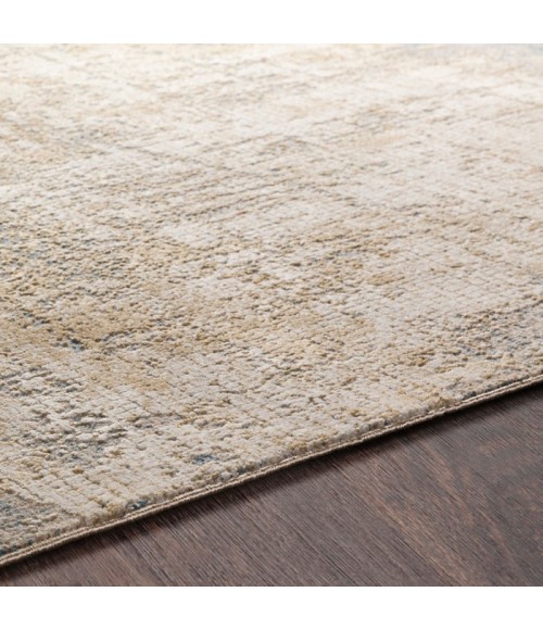 AISHA RUG Surya Aisha AIS-2300 Area Rug