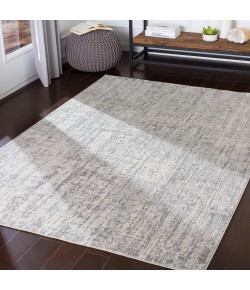 Surya Aisha AIS2305 Light Gray Medium Gray Area Rug 10 ft. X 14 ft. Rectangle