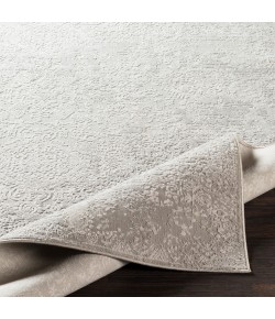 Livabliss Aisha AIS2306 Light Gray White Area Rug 2 ft. X 3 ft. Rectangle