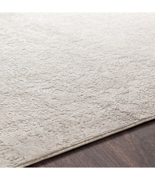 AISHA RUG Surya Aisha AIS-2306 Area Rug