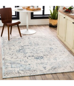 Surya Ankara AKR2310 Pale Blue Light Gray Area Rug 6 ft. 7 in. X 9 ft. Rectangle