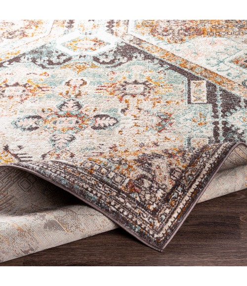 Livabliss Ankara AKR-2324 6 7 x 9  Rug