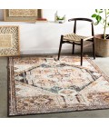 Livabliss Ankara AKR-2324 6 7 x 9  Rug