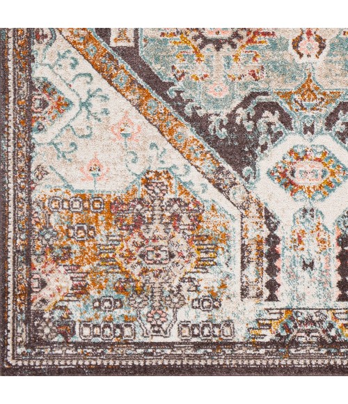 Livabliss Ankara AKR-2324 6 7 x 9  Rug