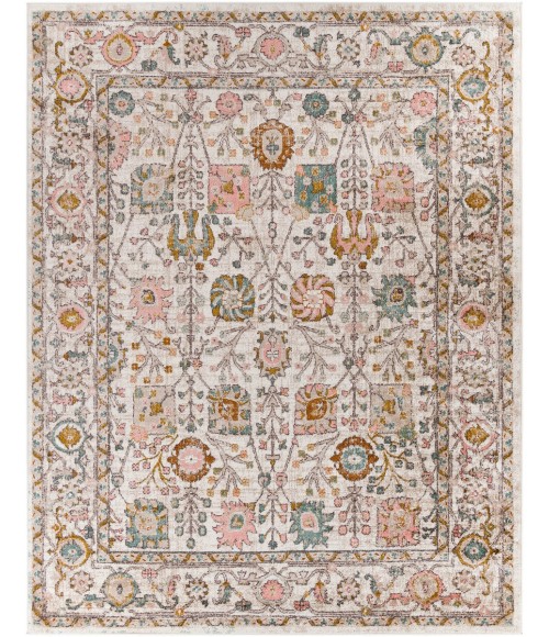 ANKARA RUG Livabliss Ankara AKR-2332 Area Rug