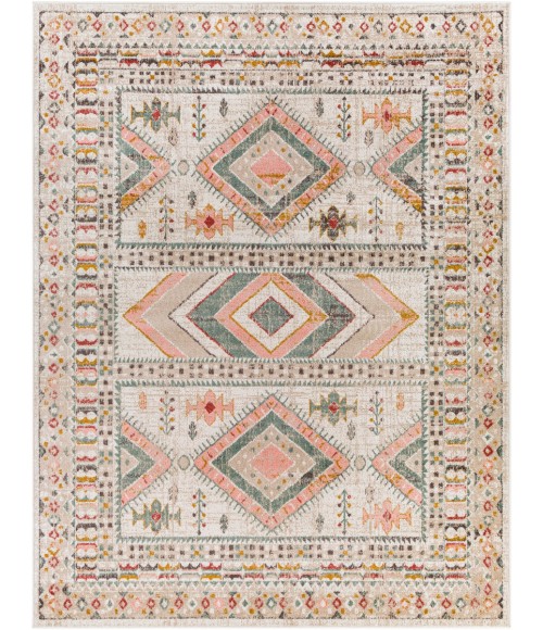 ANKARA RUG Livabliss Ankara AKR-2336 Area Rug