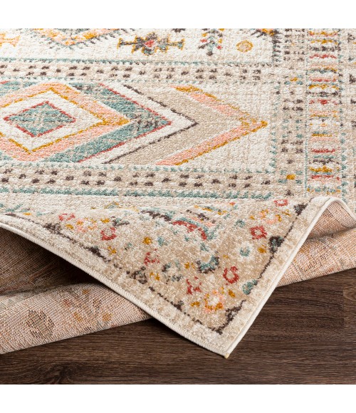 ANKARA RUG Livabliss Ankara AKR-2336 Area Rug