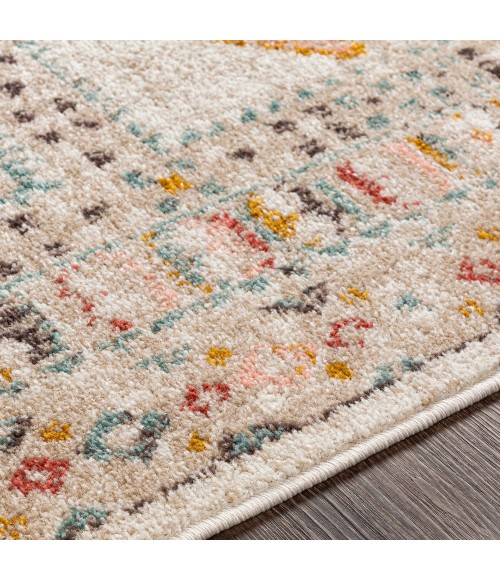 ANKARA RUG Livabliss Ankara AKR-2336 Area Rug