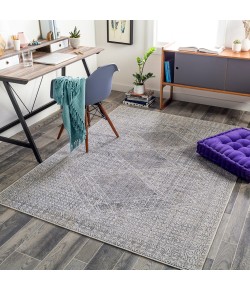 Surya Alice ALC2309 Charcoal Light Gray Area Rug 8 ft. 10 in. X 12 ft. Rectangle