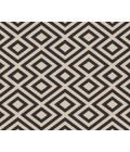 Surya Alfresco ALF-9639-6x9 rug