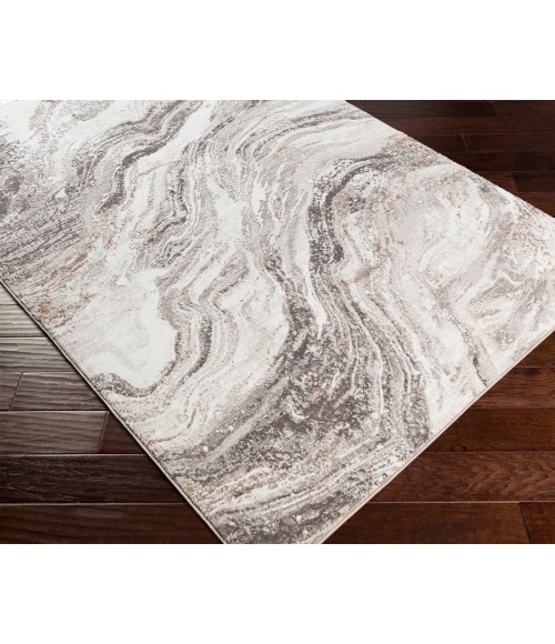 Livabliss Allegro Rug ALG2319