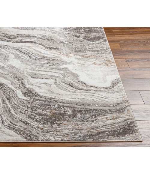 Livabliss Allegro Rug ALG2319