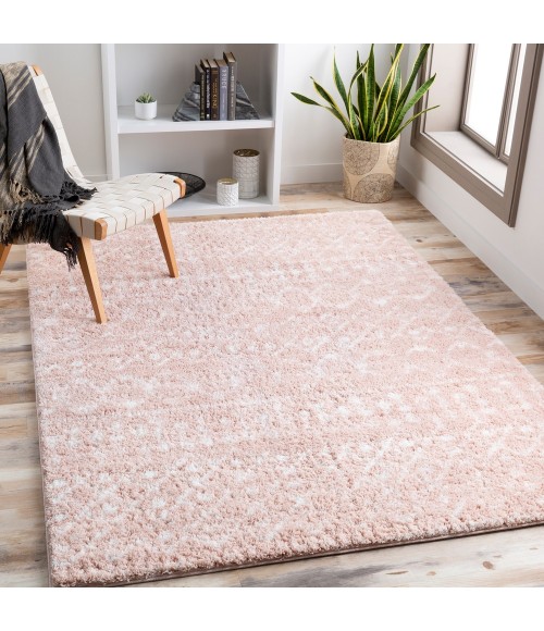 Livabliss Aliyah shag ALH-2300 5 3 x 7 3 Rug