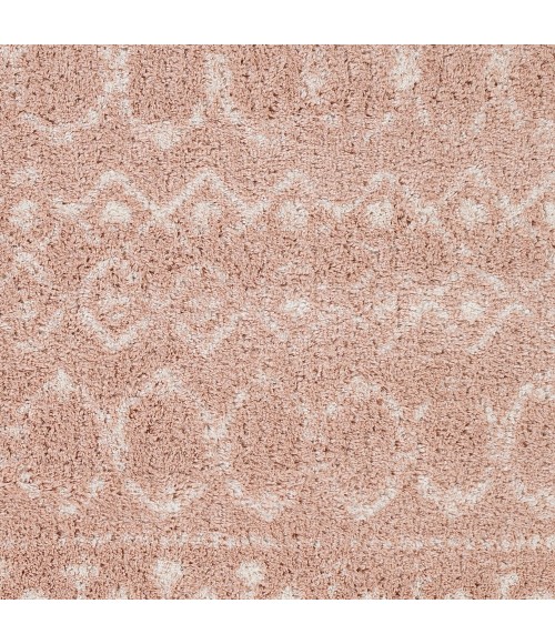 Livabliss Aliyah shag ALH-2300 5 3 x 7 3 Rug