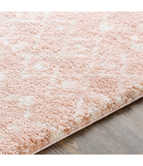 Livabliss Aliyah shag ALH-2300 5 3 x 7 3 Rug
