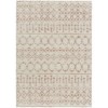 Livabliss Aliyah Shag ALH2301 Cream Pale Pink Area Rug 5 ft. 3 in. X 7 ft. 3 in. Rectangle