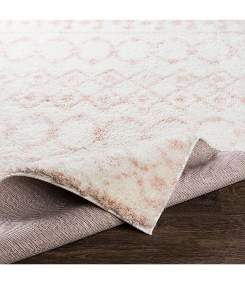 Livabliss Aliyah shag ALH-2301 5 3 x 7 3 Rug