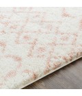 Livabliss Aliyah shag ALH-2301 5 3 x 7 3 Rug