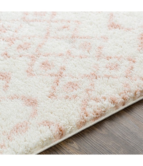 Livabliss Aliyah shag ALH-2301 5 3 x 7 3 Rug