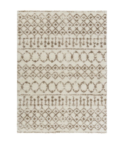 Livabliss Aliyah shag ALH-2303 5 3 x 7 3 Rug