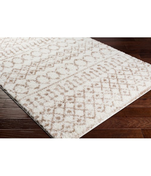 Livabliss Aliyah shag ALH-2303 5 3 x 7 3 Rug