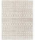 Livabliss Aliyah shag ALH-2303 7 10 x 10  Rug