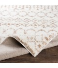 Livabliss Aliyah shag ALH-2303 5 3 x 7 3 Rug
