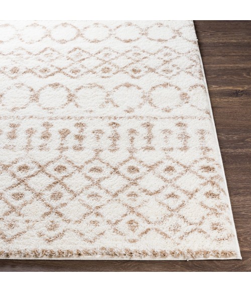 Livabliss Aliyah shag ALH-2303 5 3 x 7 3 Rug