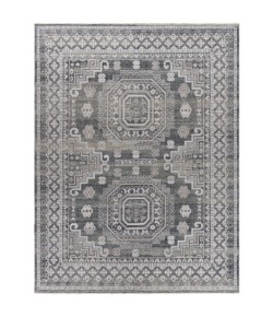 Surya Almeria ALM2300 Multi Area Rug 6 ft. X 9 ft. Rectangle