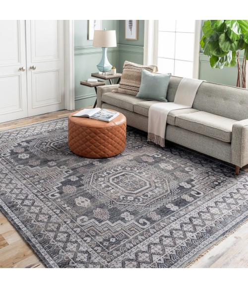 Surya Almeria ALM-2300 6  x 9  Rug
