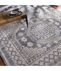 Surya Almeria ALM-2300 6  x 9  Rug