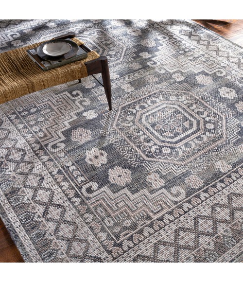 Surya Almeria ALM-2300 6  x 9  Rug