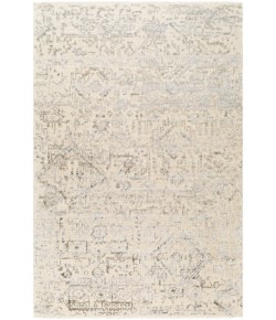 Surya Amina AMA2301 Beige Ivory Area Rug 2 ft. X 3 ft. Rectangle