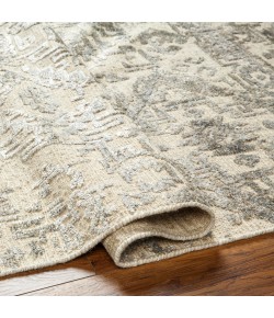 Surya Amina AMA2301 Beige Ivory Area Rug 2 ft. X 3 ft. Rectangle