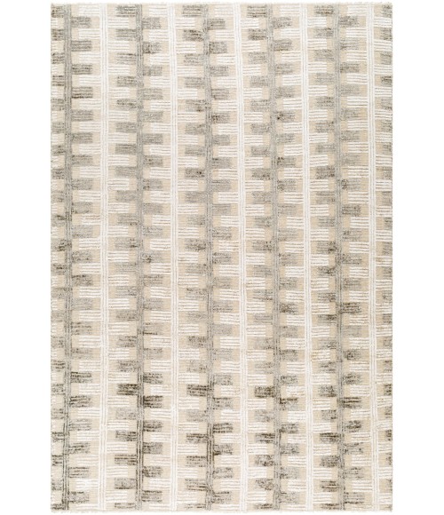 Surya Amina Rug AMA2302