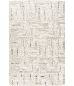 Surya Amina AMA2303 Beige Light Sage Area Rug 9 ft. X 12 ft. Rectangle