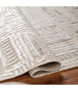 Surya Amina AMA2303 Beige Light Sage Area Rug 9 ft. X 12 ft. Rectangle