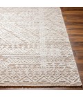 Surya Amina Rug AMA2304